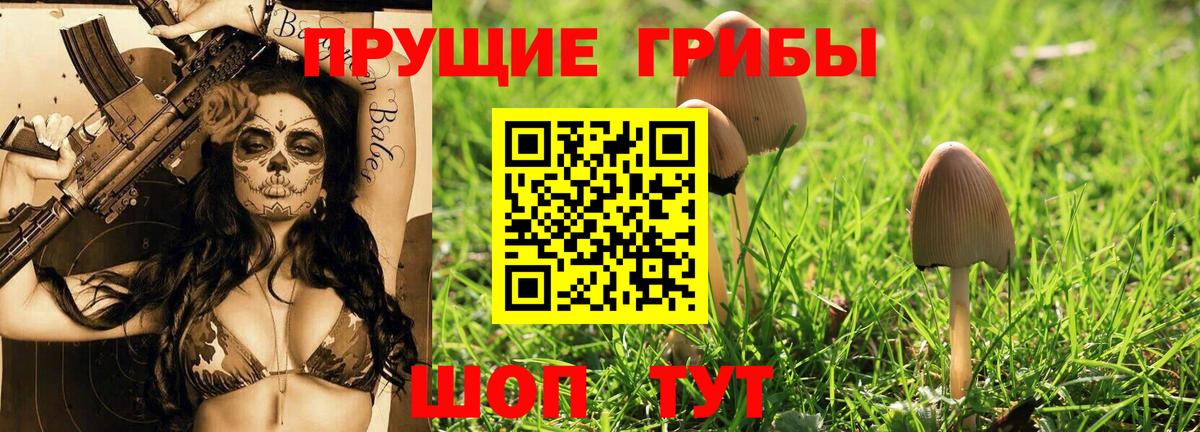 Алейск  Псилоцибиновые грибы мухоморы  Вход с VPN  Псилоцибиновые грибы GOLDEN TEACHER 