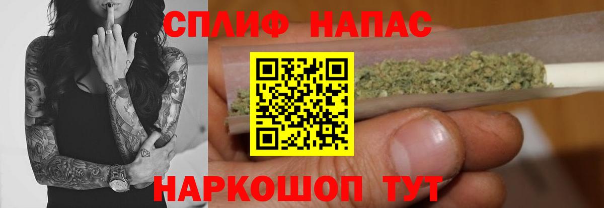 Канабис сатива Алейск